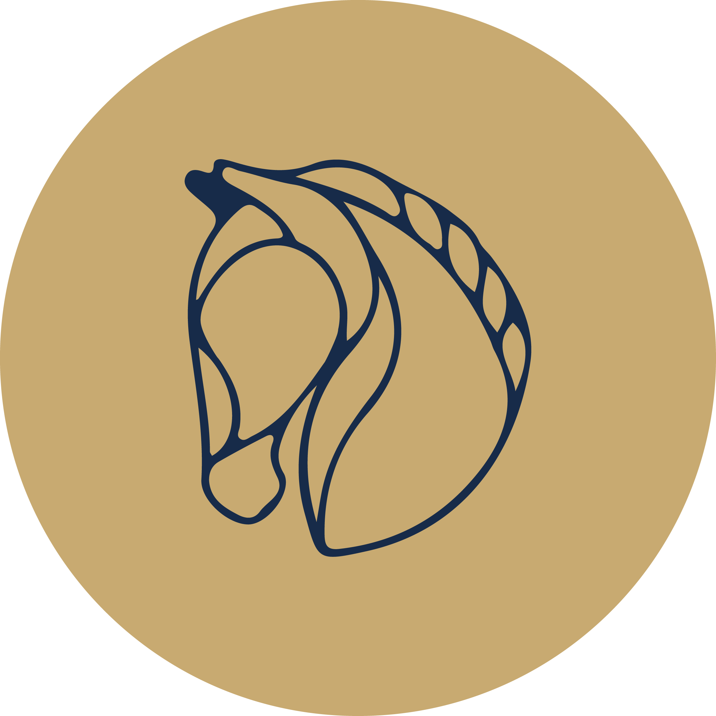 M-Hesteterapi